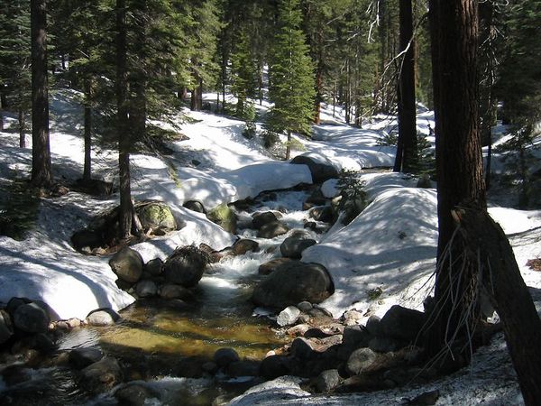 The Creek